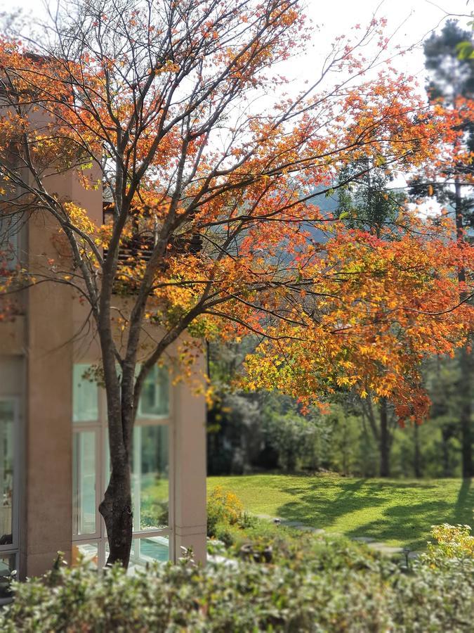 Apartmán Around The Tree Manor Shitan Pokoj fotografie