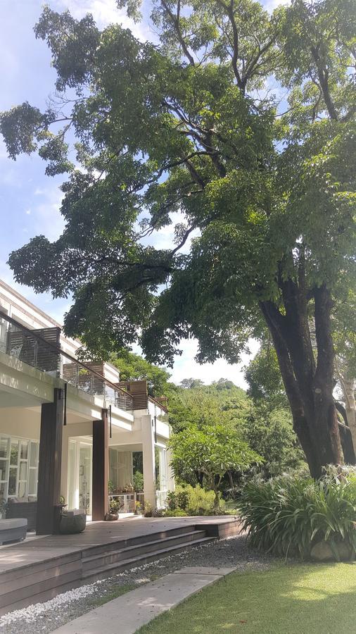 Apartmán Around The Tree Manor Shitan Pokoj fotografie