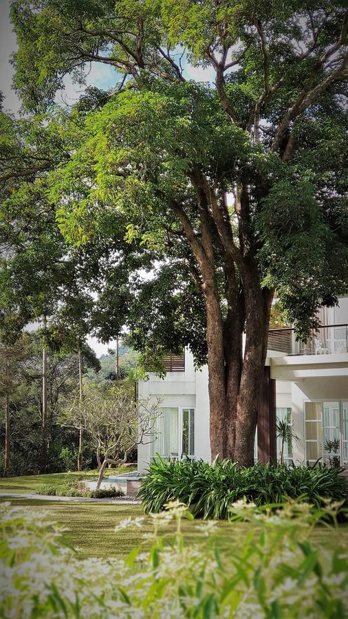 Apartmán Around The Tree Manor Shitan Pokoj fotografie